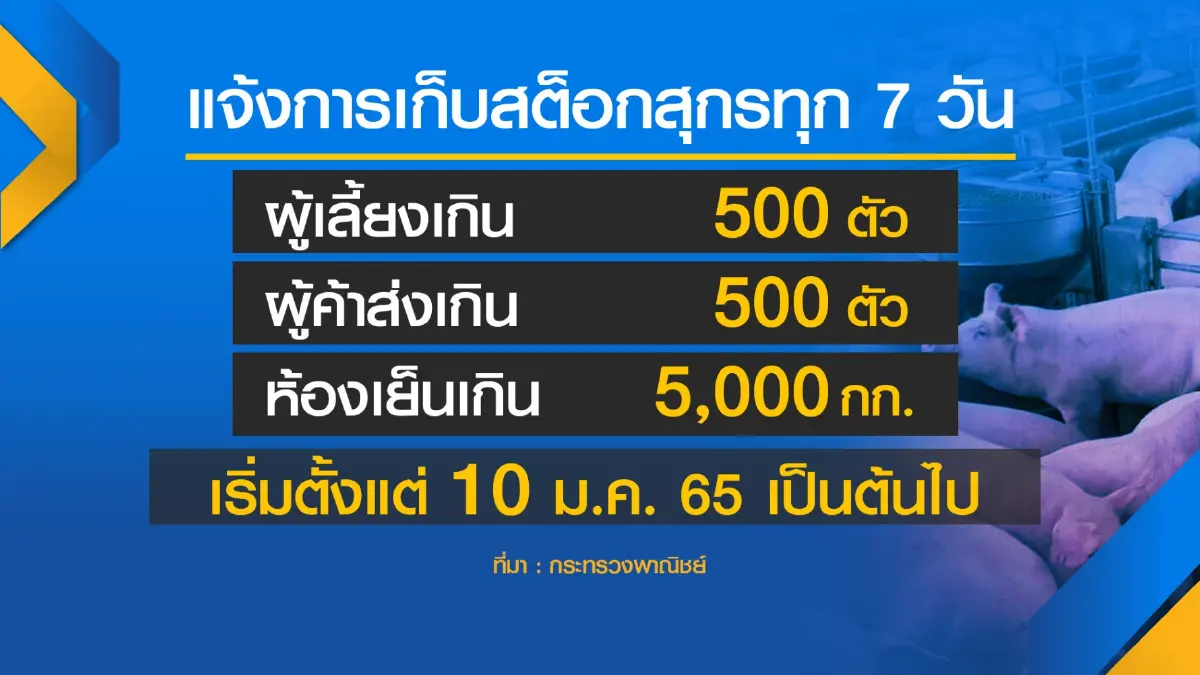 ผู้เลี้ยงหมูหนุน ‘นำเข้า‘ กดราคาในประเทศ