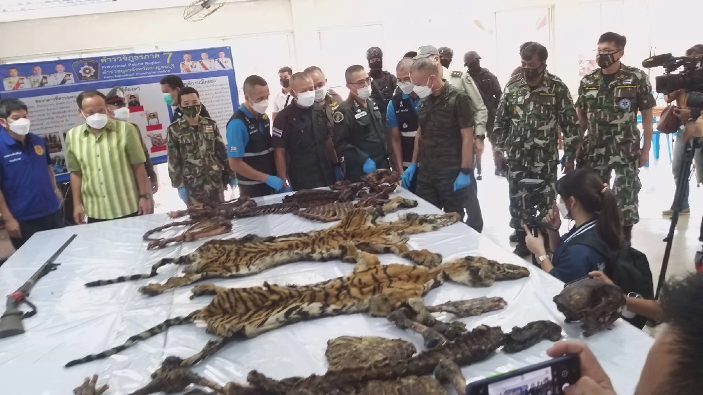 ค้นบ้าน5พรานยิงเสือโคร่ง แจ้งเพิ่มรวม11ข้อหา