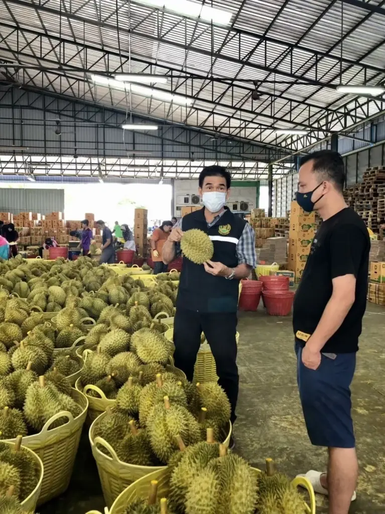 เกษตรฯ เดินเกมรุกดันส่งออกผลไม้ไปจีนแตะ 1 แสนล้าน