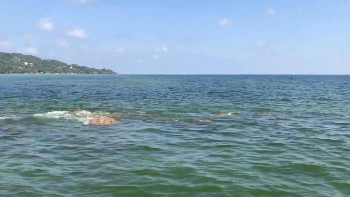 พบคราบน้ำมันกลางทะเลสมุย คาดมาจากเรือสินค้าที่จม