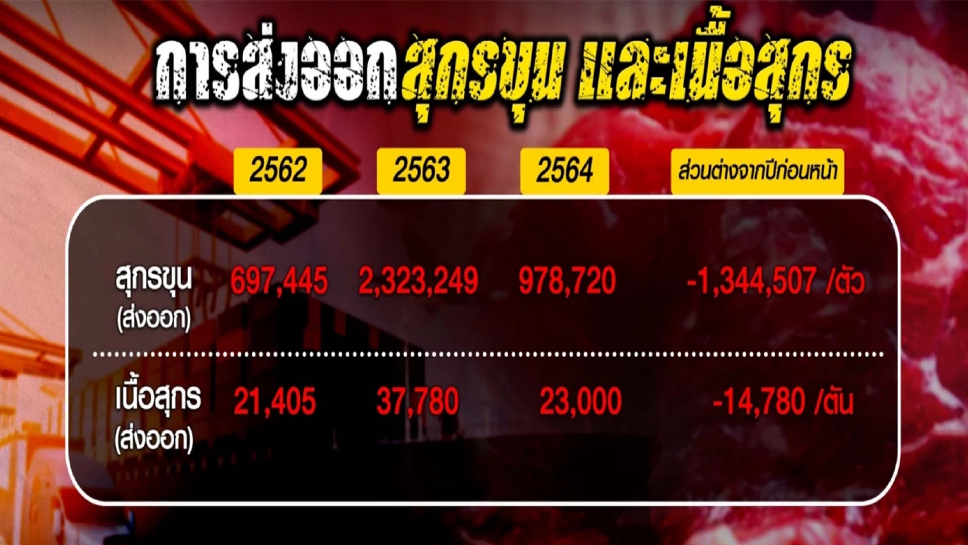 เปิดขบวนการ "โม่ง ป." หากินกับราคาหมูแพง