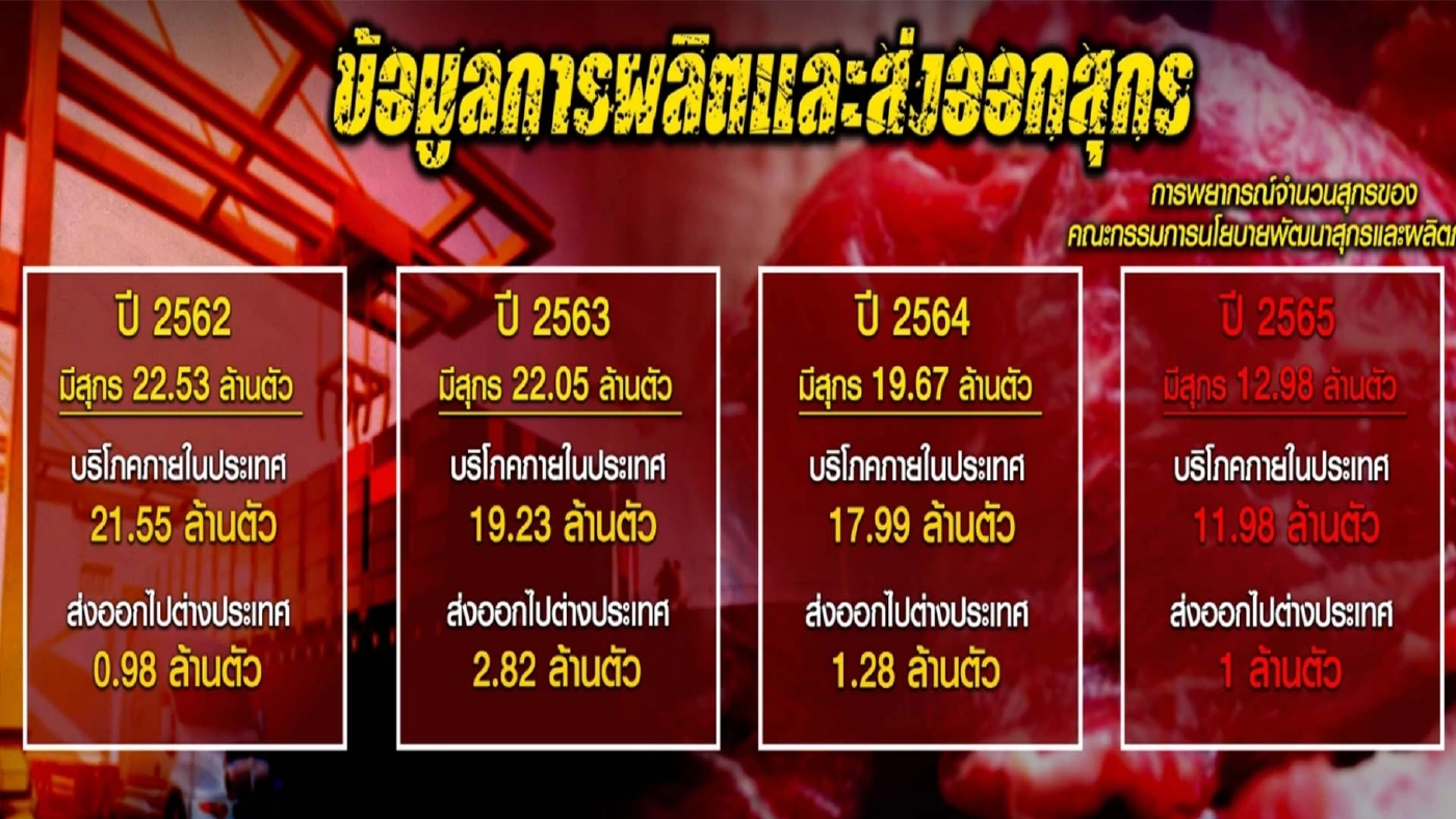 เปิดขบวนการ "โม่ง ป." หากินกับราคาหมูแพง