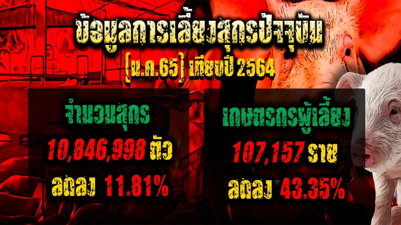 ล่ากระบวนการสมคบคิด "ไอ้โม่งกินหมู2"