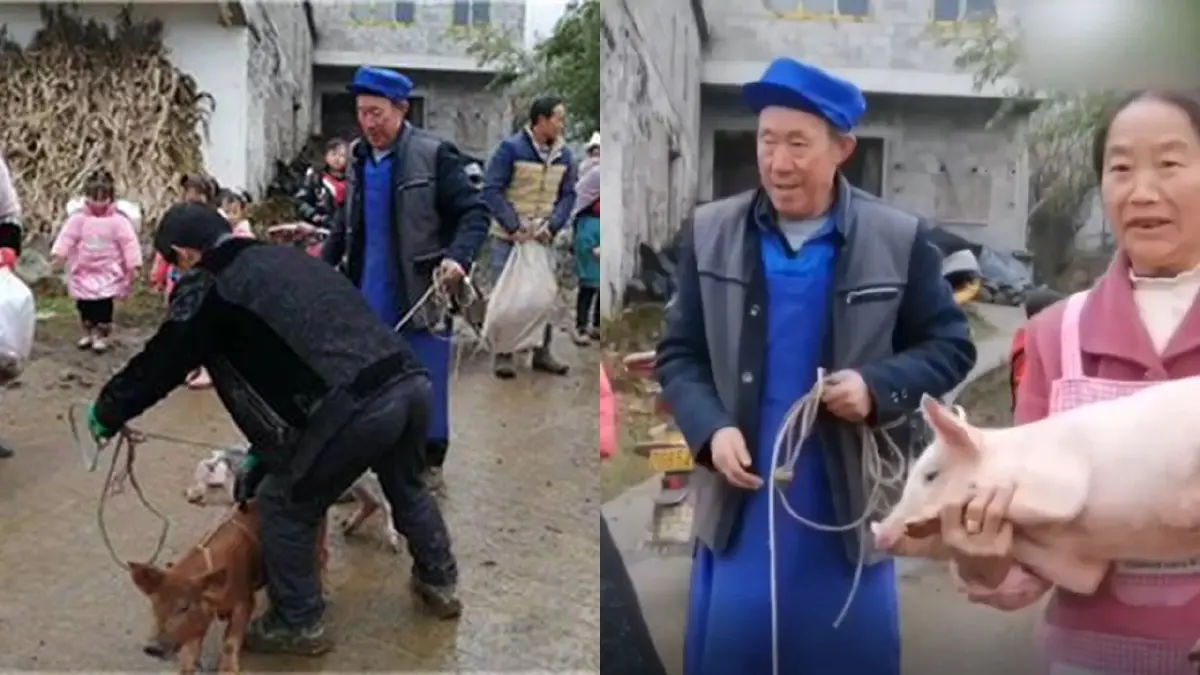 โรงเรียนจีนแจกลูกหมู เป็นรางวัลให้กับเด็กเรียนดี