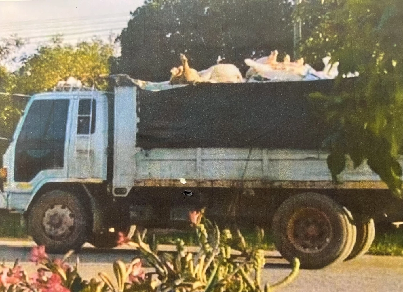 ชาวราชบุรีบุกพบศรีสุวรรณ ร้องเอาผิดปศุสัตว์ปล่อยให้ขนหมูตายเกลื่อนเมือง