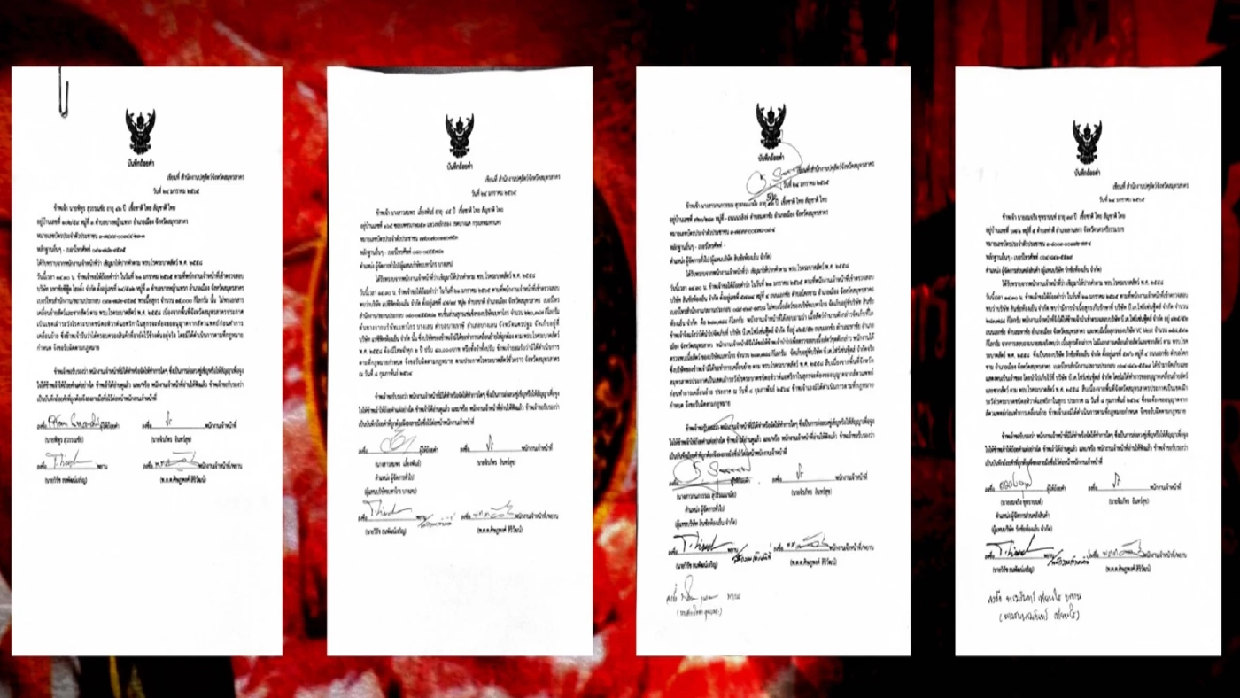 สาวลึก "ขบวนการหากินกับหมู" ดันราคาหมูแพง