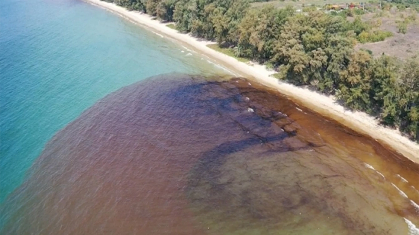 บทเรียนคราบน้ำมันดิบรั่วไหล ส่งผลระบบเวศน์ทางทะเล