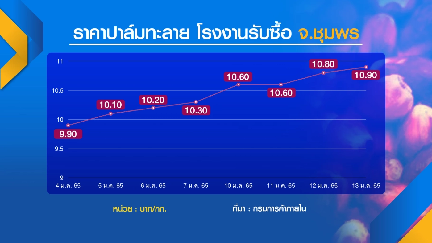 น้ำมันปาล์มราคาพุ่ง! จี้รัฐเร่งตรึง
