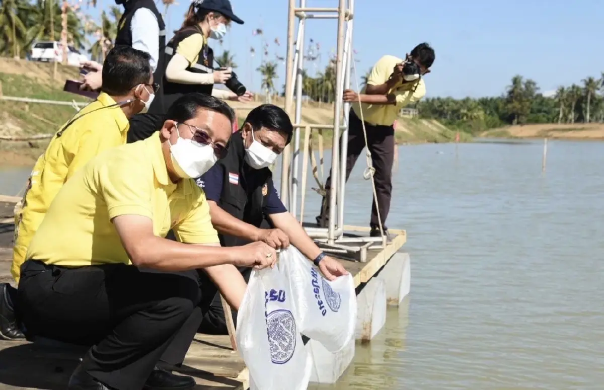 เกษตรฯ หนุนชุมพรฮับผลไม้ภาคใต้ มั่นใจรถไฟจีน-ลาว เพิ่มส่งออก