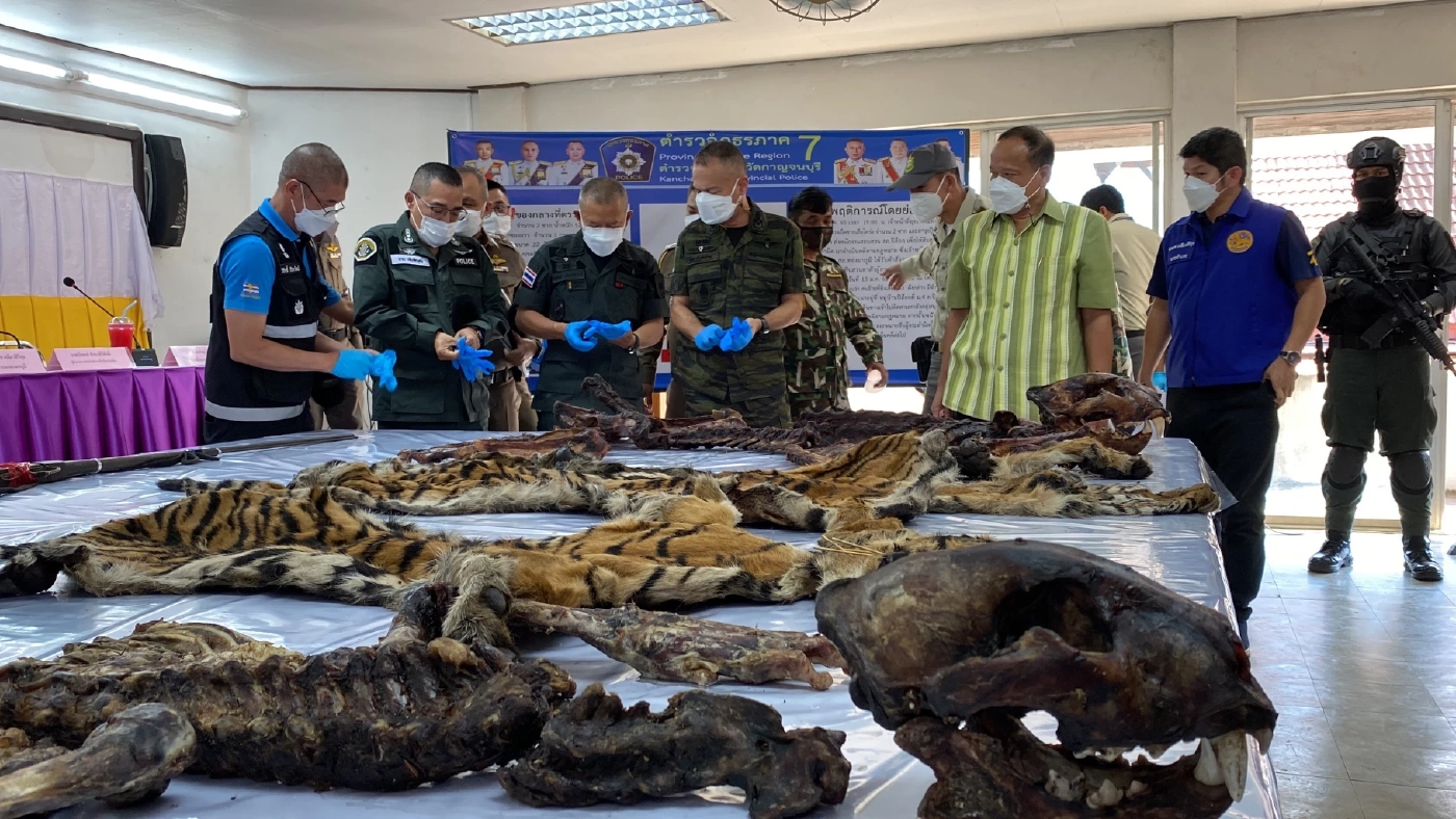 รอง ผบ.ตร. แถลงรวบ 5 มือยิงเสือโคร่งกลางป่าอุทยานฯ พร้อมแจ้ง 9 ข้อหนัก