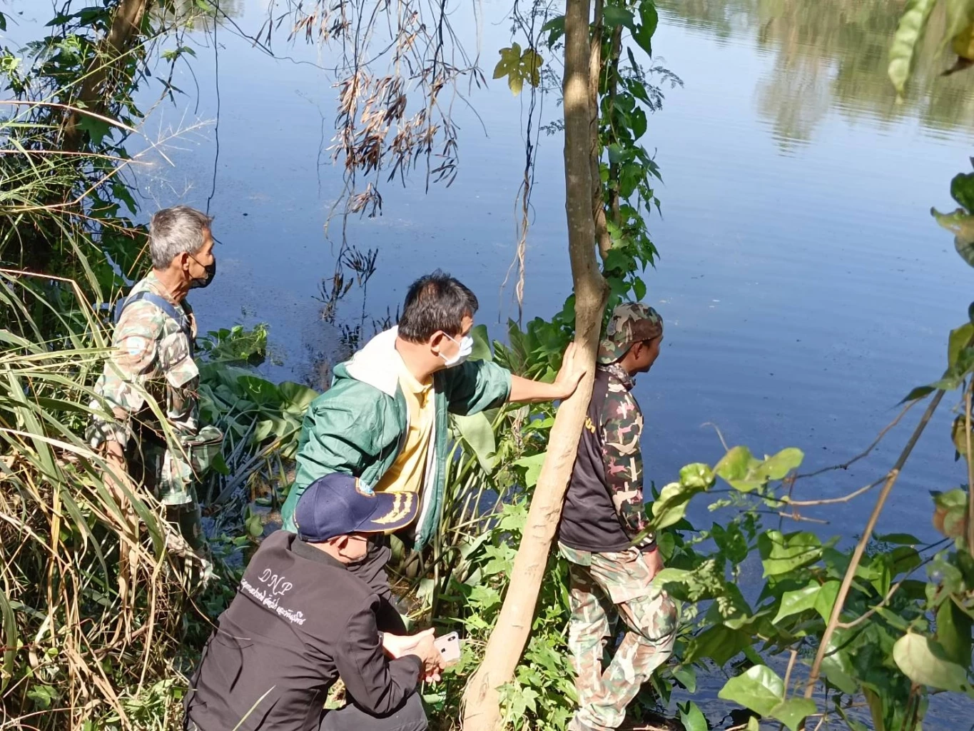 เปิดแผนรักษาช้างป่า "เจ้าด้วน" บาดเจ็บ เหตุศึกชนช้าง