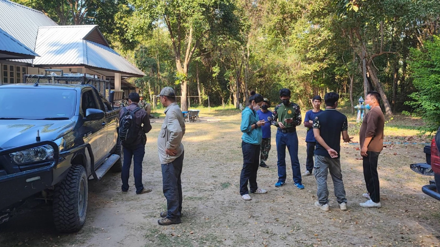 จับได้แล้ว "เสือโคร่ง" ห้วยขาแข้ง หลังออกนอกป่า จนท.ติดปลอกคอก่อนปล่อยป่า