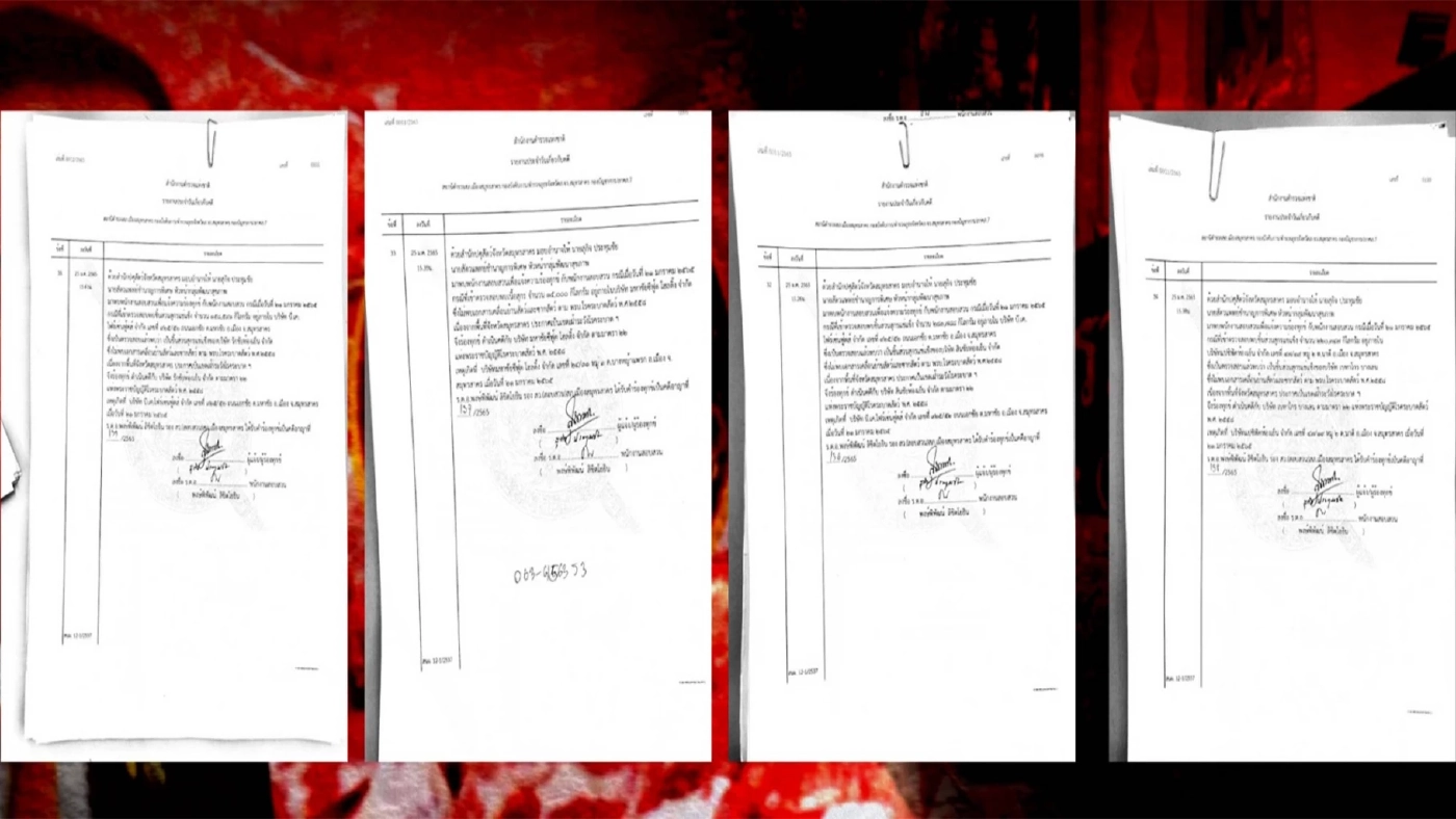 สาวลึก "ขบวนการหากินกับหมู" ดันราคาหมูแพง