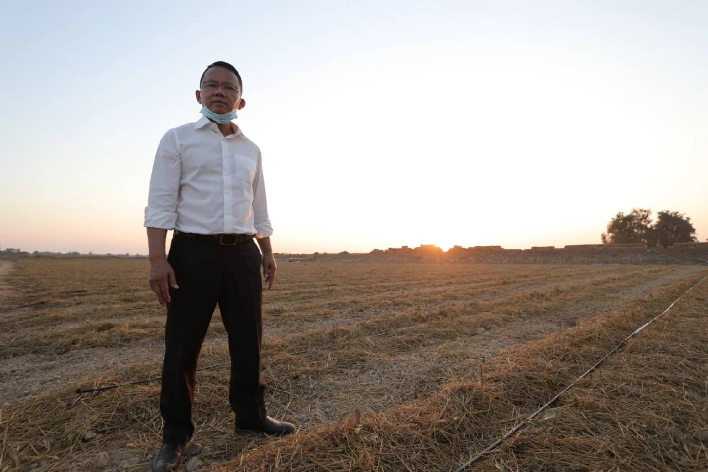 "สมศักดิ์" คิดไอเดียเกษตรครบวงจรหลังลองทำแล้ว ปลูกหญ้าแพงโกล่าแทนข้าว