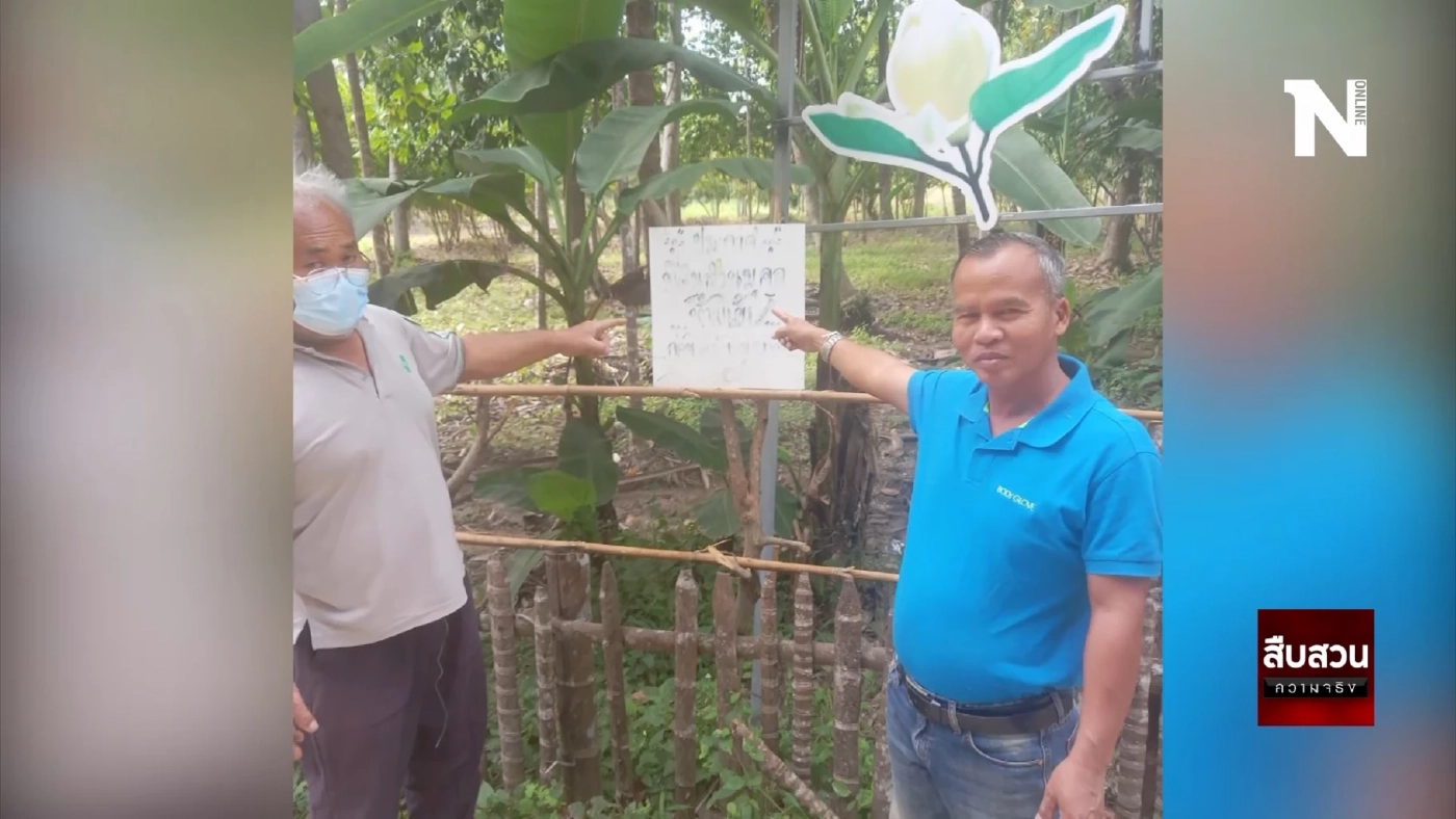 สืบสวนความจริง | อาณาจักร "แม่ปอง" แลนด์ลอร์ด