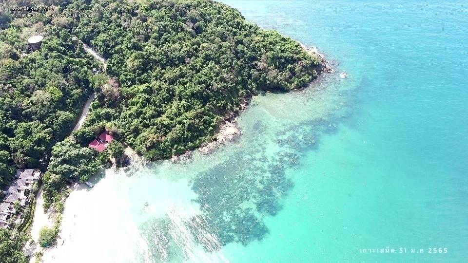 บทเรียนน้ำมันดิบรั่ว หายนะ ระบบนิเวศทะเล