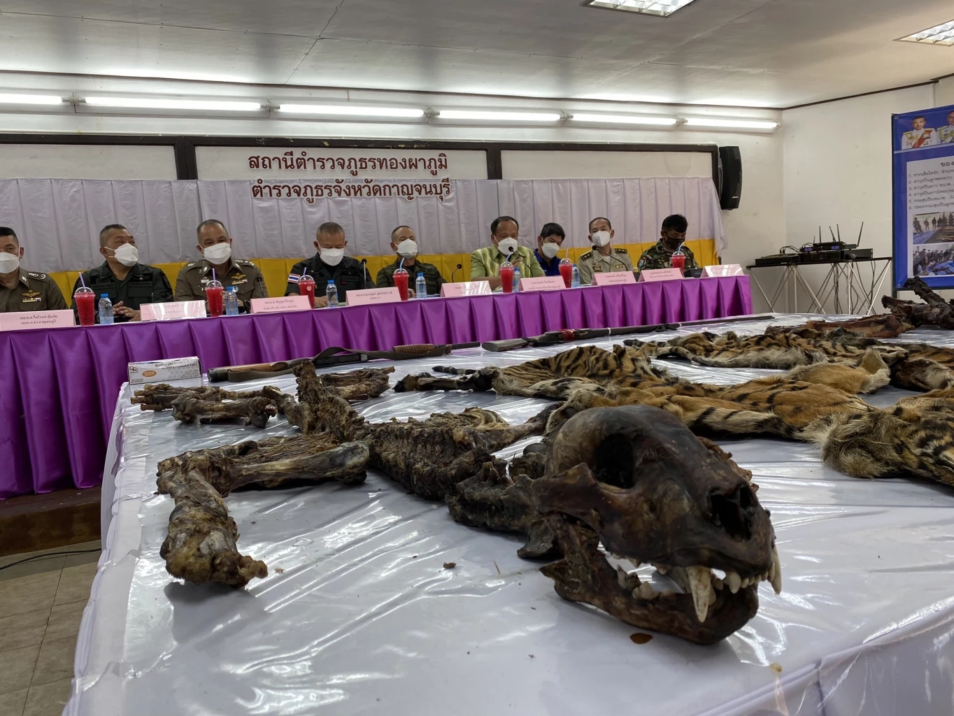 รอง ผบ.ตร. แถลงรวบ 5 มือยิงเสือโคร่งกลางป่าอุทยานฯ พร้อมแจ้ง 9 ข้อหนัก