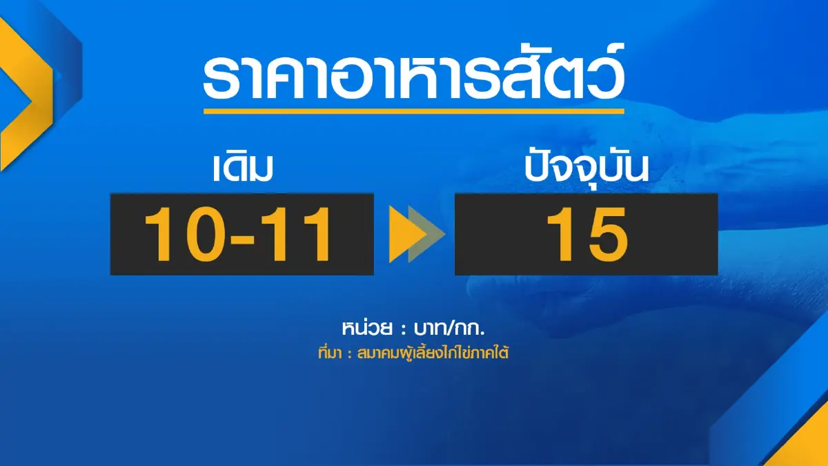 ไข่ไก่ราคาพุ่งซ้ำรอยหมูแพง
