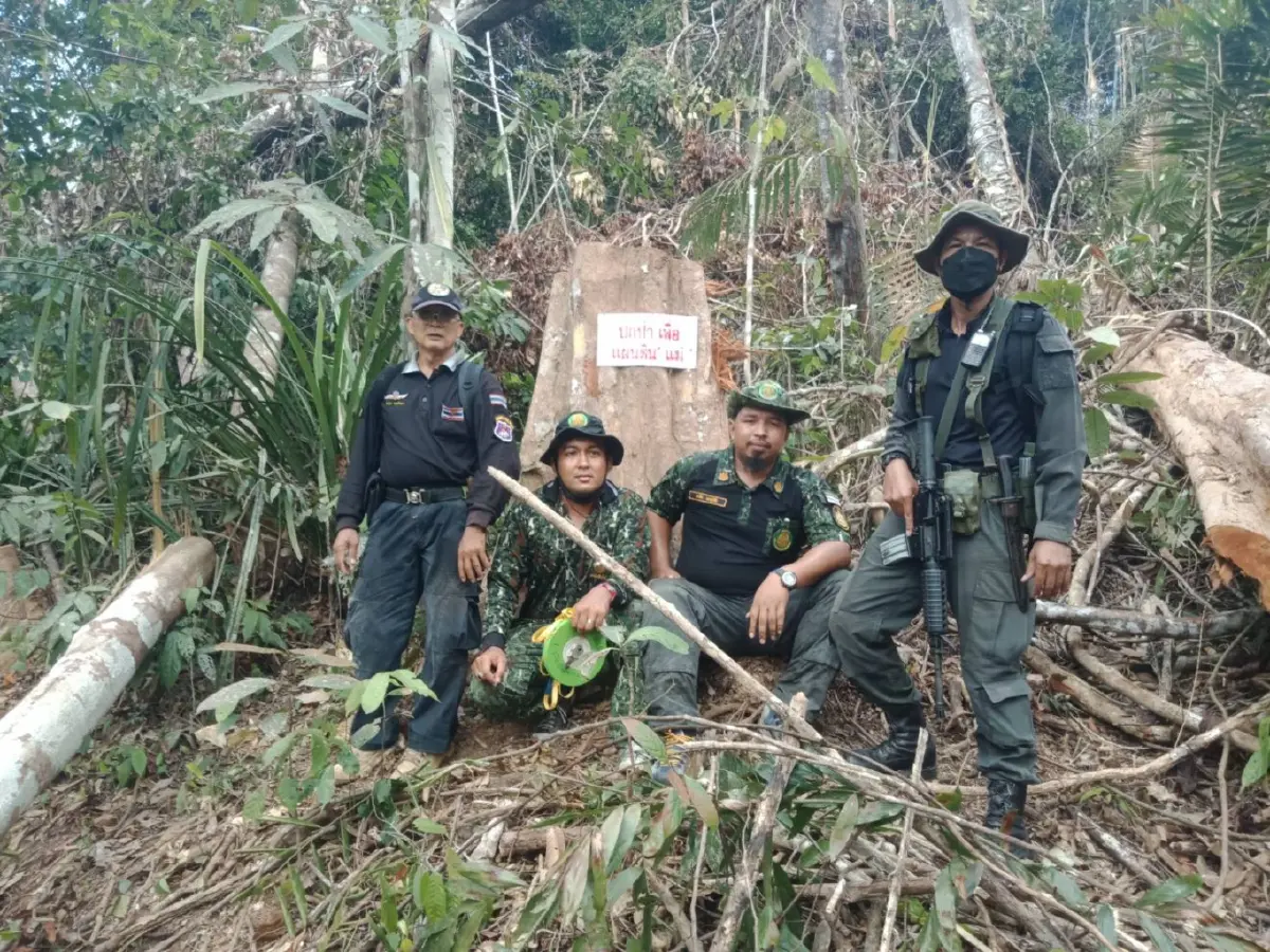 ลักลอบโค่นป่าต้นน้ำแม่น้ำปัตตานี เหนือทะเลสาบเขื่อนบางลาง
