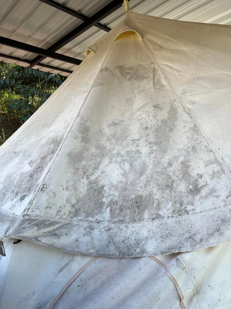 เคลียร์ดราม่า ที่พักบ่อเกลือ โร่ขอโทษลูกค้า ยอมรื้อเต็นท์ขึ้นราทิ้ง