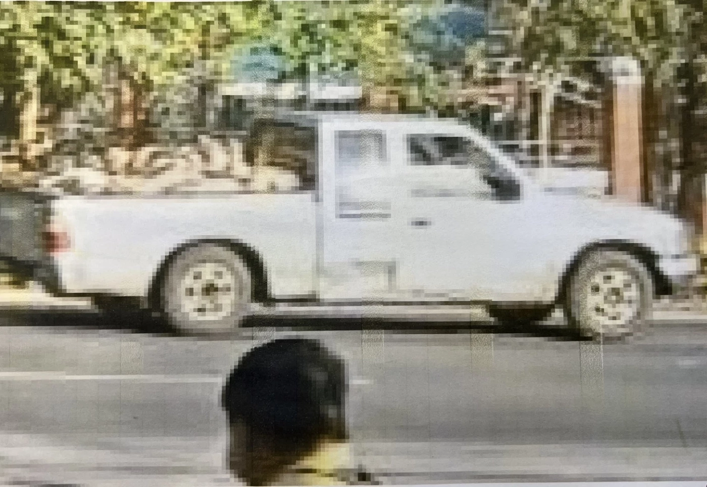 ชาวราชบุรีบุกพบศรีสุวรรณ ร้องเอาผิดปศุสัตว์ปล่อยให้ขนหมูตายเกลื่อนเมือง