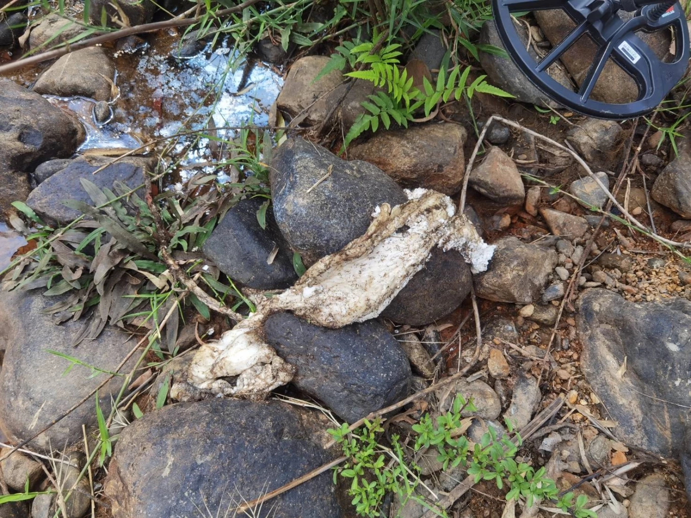 ค้นบ้าน5พรานยิงเสือโคร่ง แจ้งเพิ่มรวม11ข้อหา