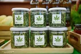 วันหยุดนี้..ชวนคอข่าวไปเที่ยว “งานเกษตรแฟร์ 2565” กันไหม