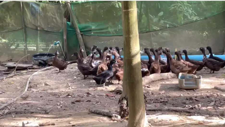 ก.พาณิชย์ สั่งติดตามราคาสินค้า 6 ชนิดหลังพบมีราคาผิดปกติ