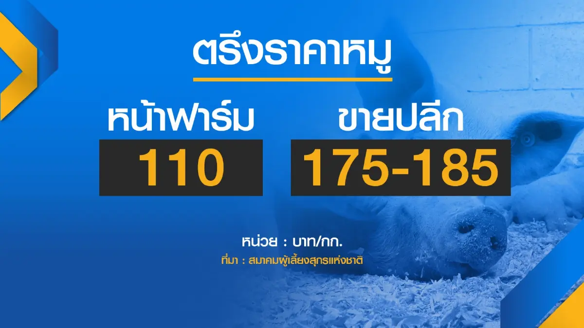 ฟาร์มหมู 'ตรึง' ราคา 110 บาทรับเทศกาลตรุษจีน