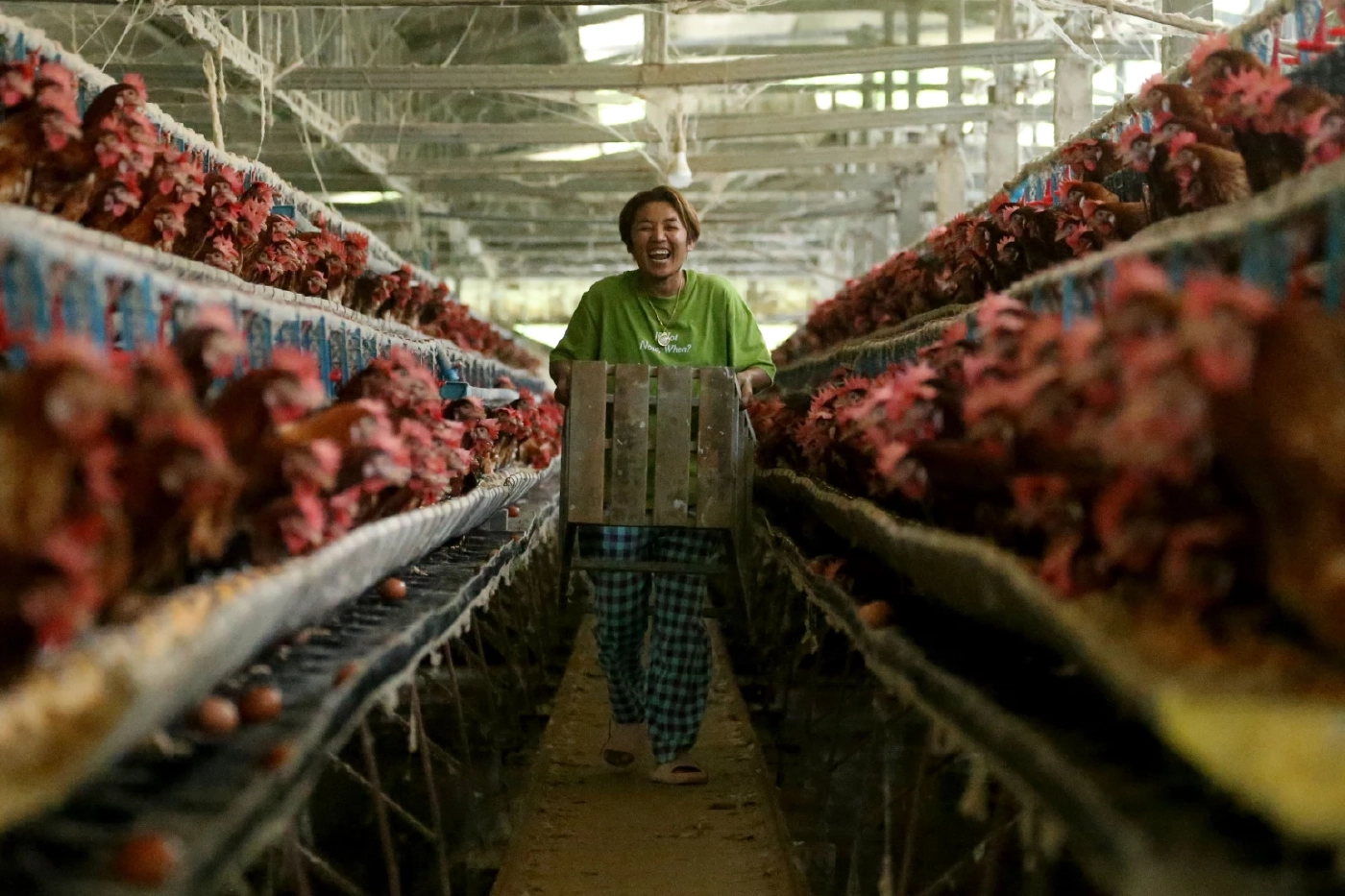 ครม. เคาะ เพิ่มไก่และเนื้อไก่ เป็นสินค้าควบคุมปี 65