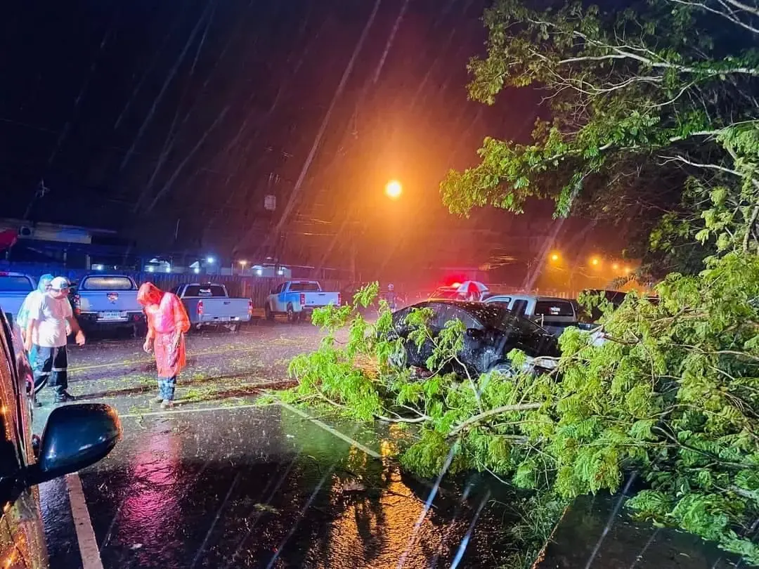 ฝนตกหนัก ต้นไม้โค่นล้มทับรถยนต์ เสียหายหลายคัน