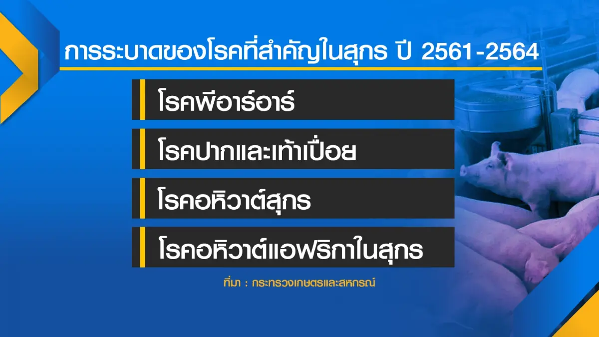 จับตา ‘จุรินทร์‘ งัดมาตรการคุมราคาหมู