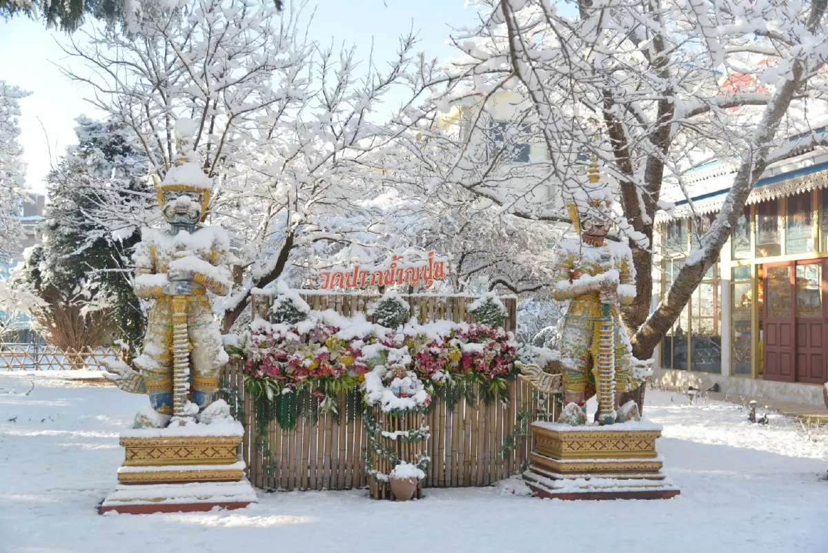 ภาพจาก Sany Narita