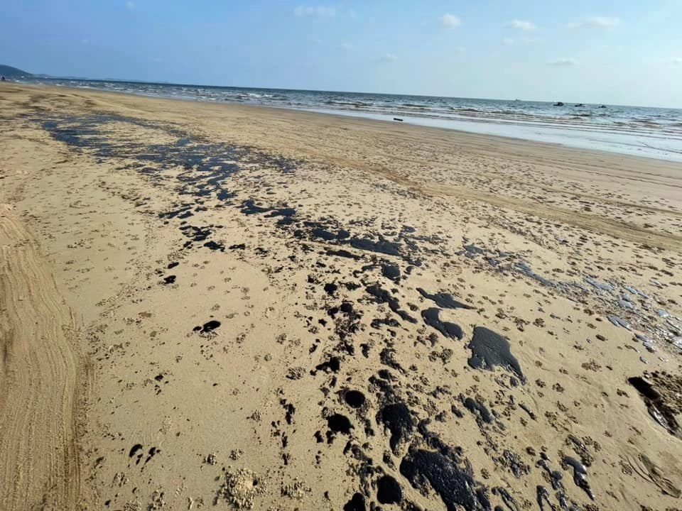 บทเรียนคราบน้ำมันดิบรั่วไหล ส่งผลระบบเวศน์ทางทะเล