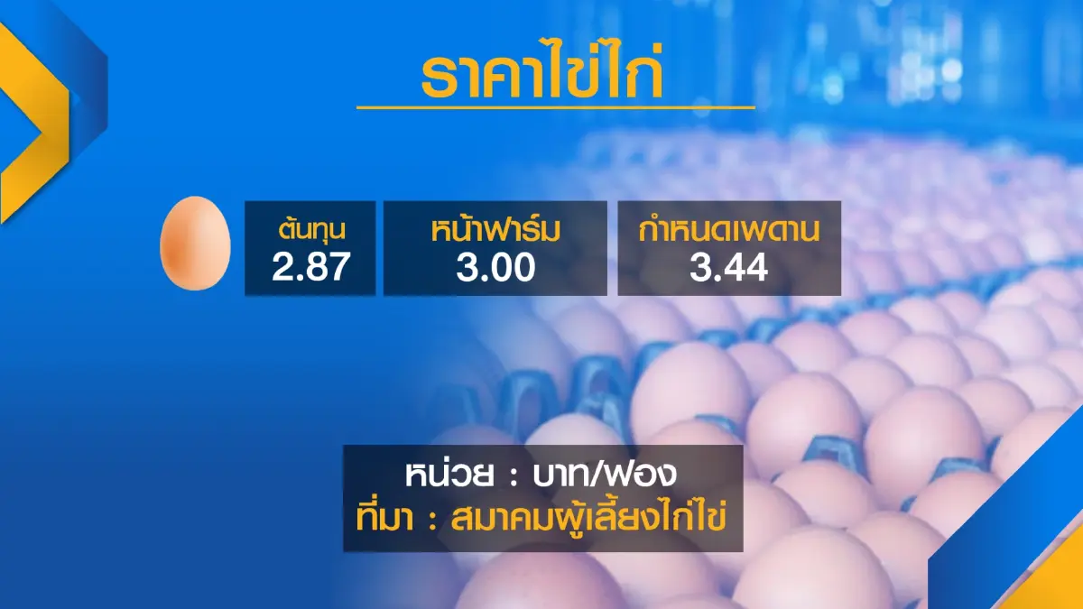 ผู้เลี้ยงค้านรัฐจี้ ‘ลด‘ ราคาไข่ไก่
