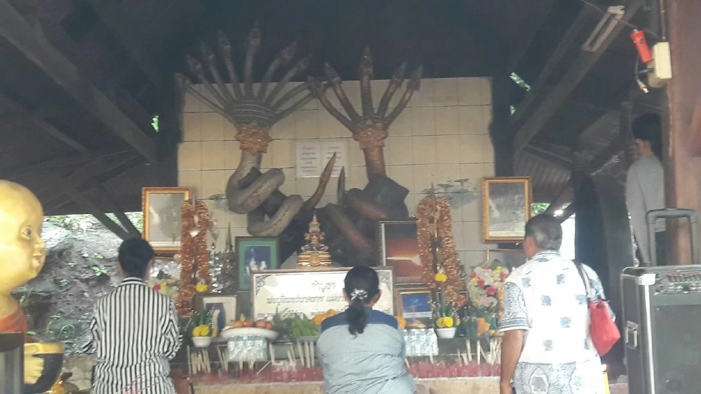 แจก “วิธี-บทสวดบูชาพญานาค” เสริมมงคลชีวิต ปี 2565