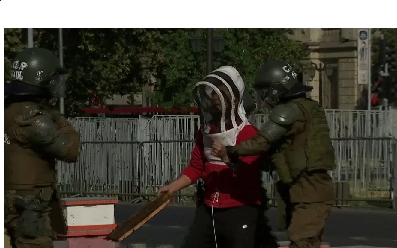 ผู้ประท้วงชาวชิลี พาผึ้งจำนวนมากมาร่วมประท้วงรัฐบาล