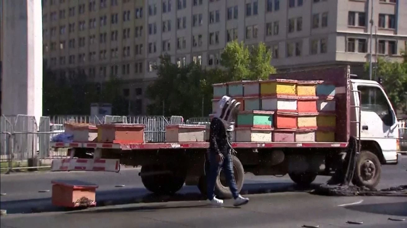 ผู้ประท้วงชาวชิลี พาผึ้งจำนวนมากมาร่วมประท้วงรัฐบาล