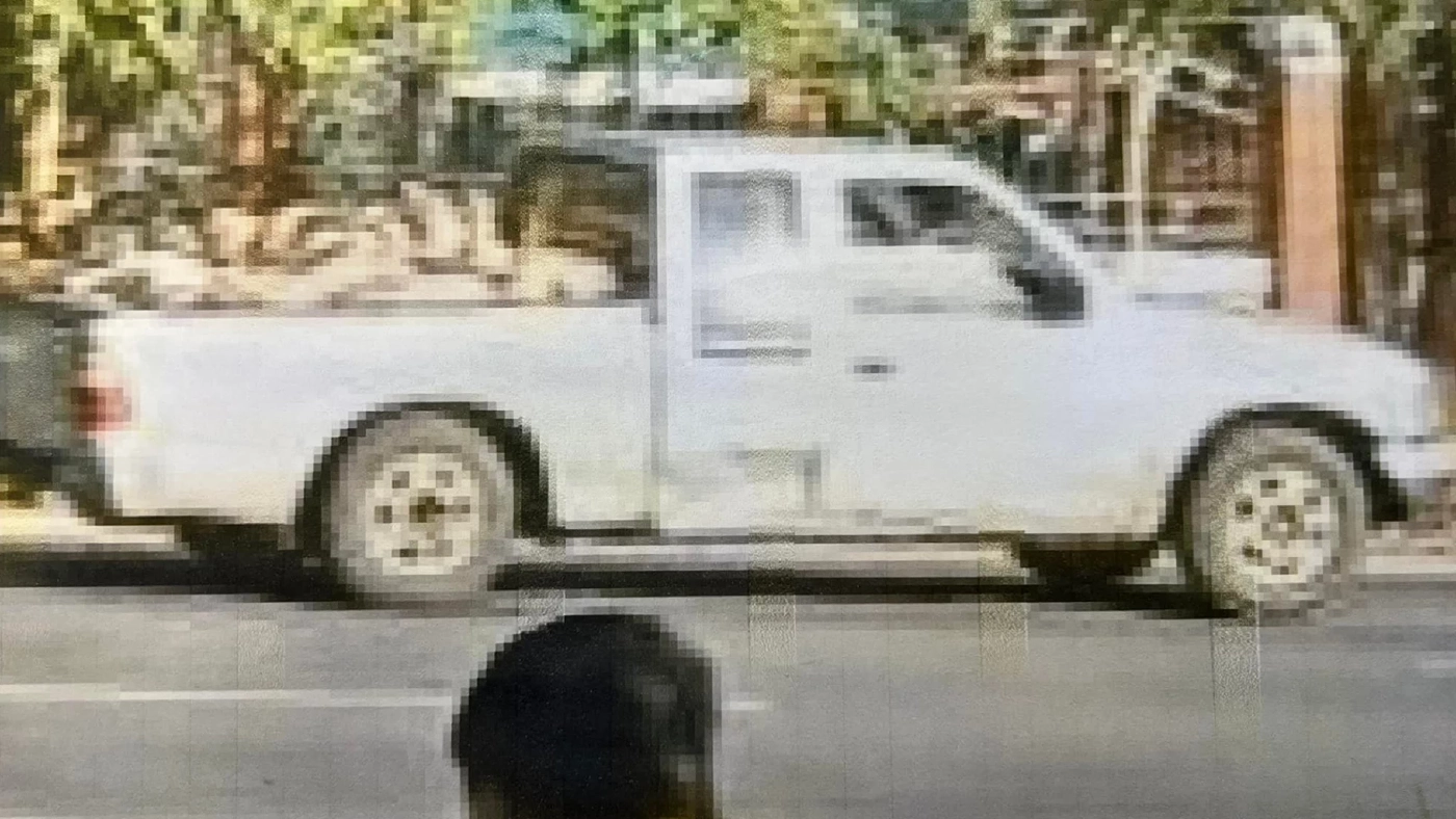 ฟ้องด้วยภาพ! ร้อง "ศรีสุวรรณ" เอาผิดปศุสัตว์ ปล่อยให้ขนหมูตายเกลื่อนเมือง