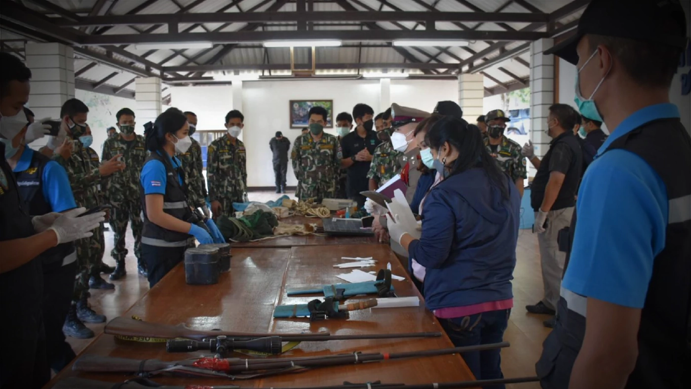 มอบตัวแล้ว พรานโหดยิงเสือโคร่ง แล่เนื้อถลกหนัง อ้างทำไปเพราะเสือกัดวัวตาย