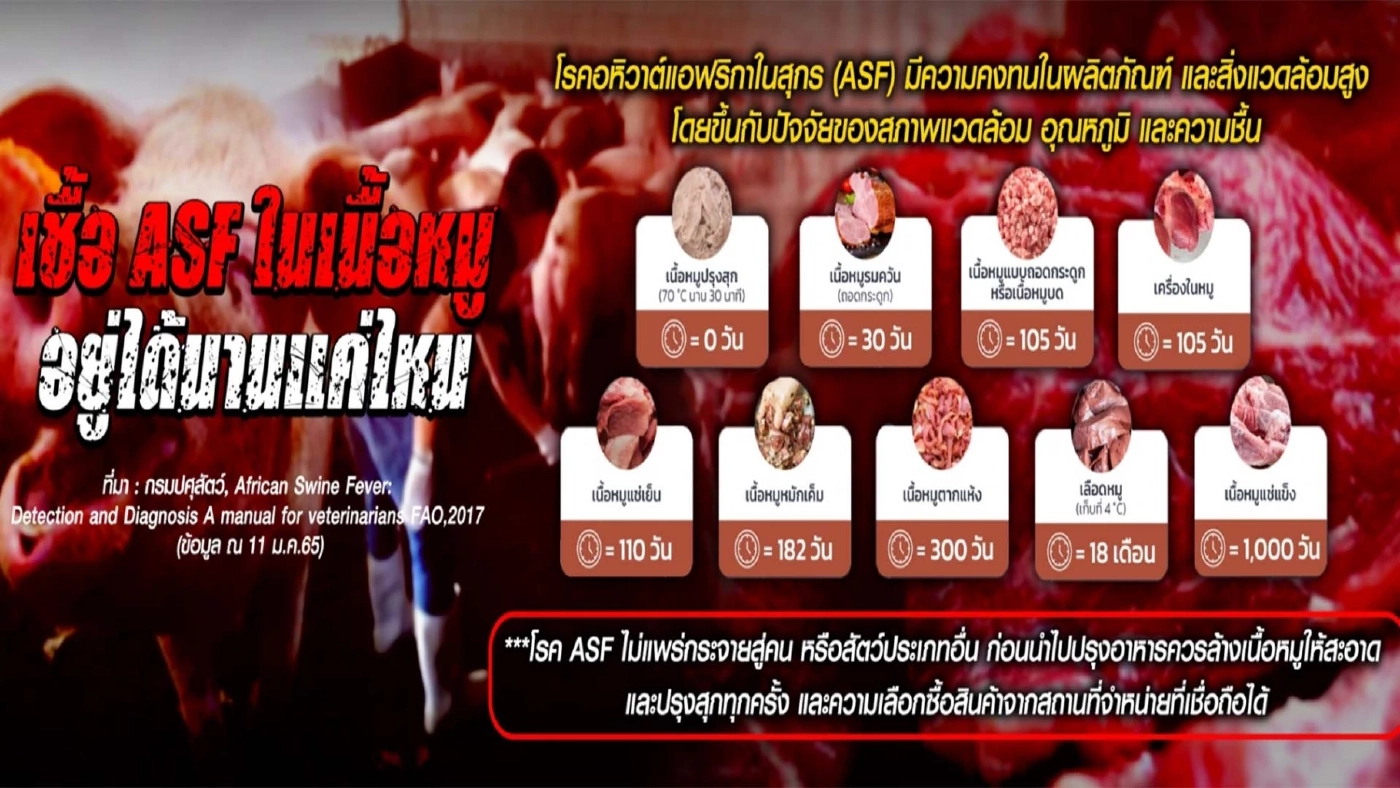 เปิดขบวนการ "โม่ง ป." หากินกับราคาหมูแพง