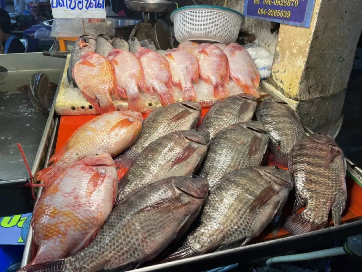 ปชช.เเห่ซื้อหมูพาณิชย์โลละ 150 บาท วอนรัฐฯเร่งแก้ของเเพง