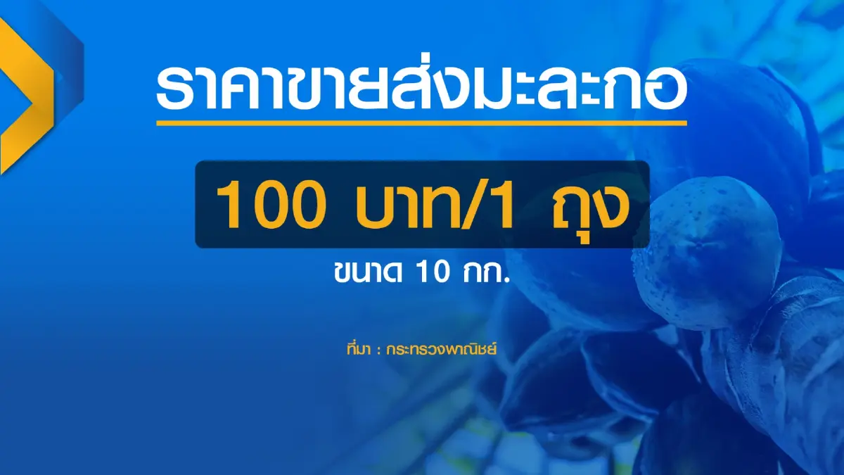 พาณิชย์คุมเข้ม 'ผัก-ผลไม้' สกัดขึ้นราคา