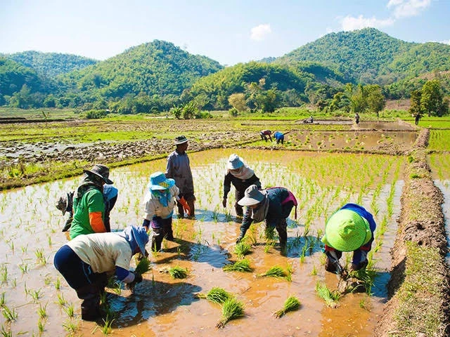 ค้านกรมชลประทาน รีดเลือดจากปูด้วยการเก็บค่าน้ำทำนาจากเกษตรกร