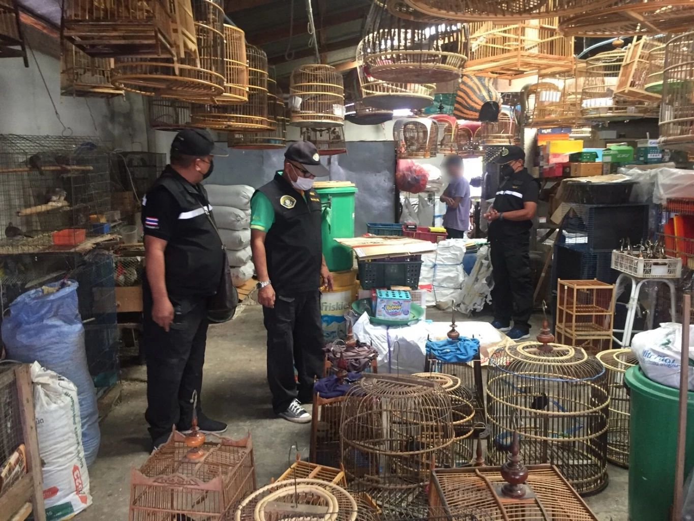 ตำรวจป่าไม้ รวบหนุ่มค้านกคุ้มครอง กว่า 11 ชนิด รวม 25 ตัว กลางตลาดเมืองยะลา