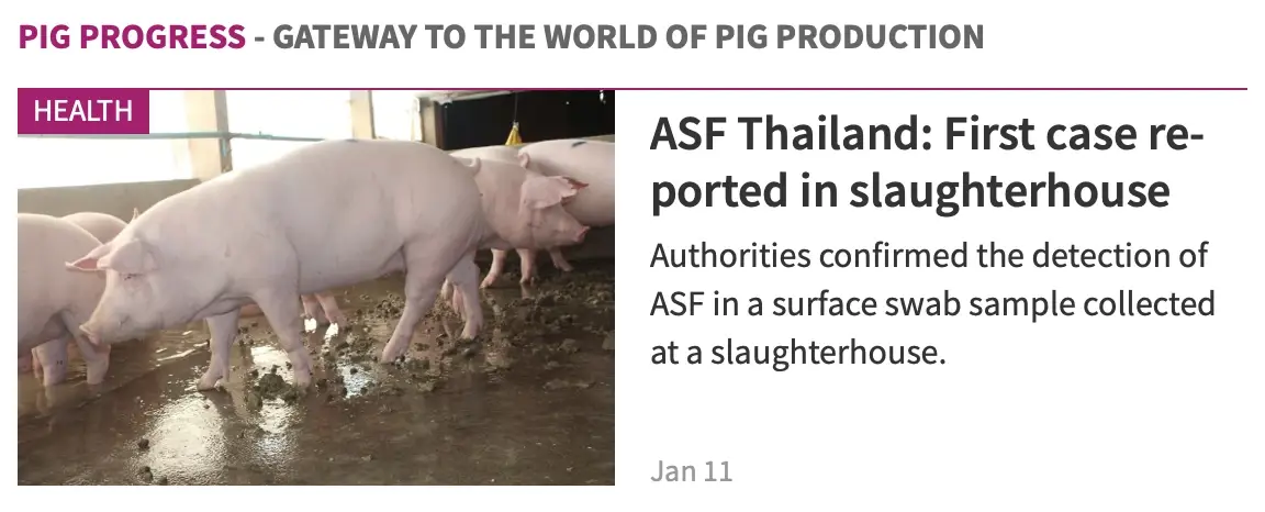 ผลตรวจแล็บยืนยัน 2 รอบ พบ ASF ตั้งแต่เดือนสิงหาคม