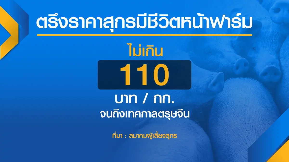 ผู้เลี้ยงหมูค้าน ‘นำเข้า‘ ห่วงกระทบรายย่อย