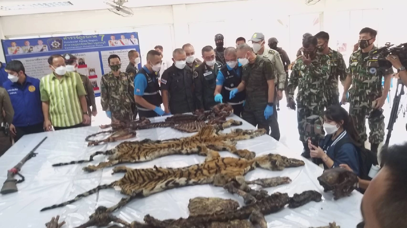 ค้นบ้าน5พรานยิงเสือโคร่ง แจ้งเพิ่มรวม11ข้อหา