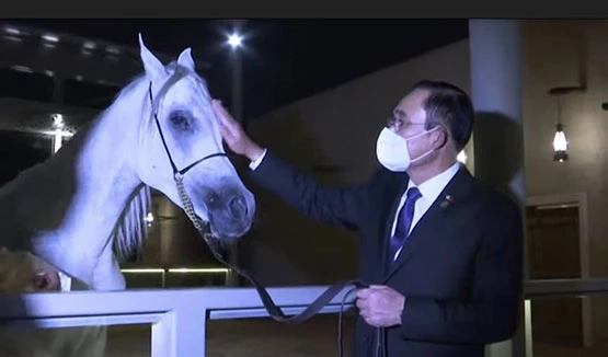 "อดีตทูต" แซะ "บิ๊กตู่" ส้มหล่นฟื้นสัมพันธ์ซาอุฯ ซัดหิวผลงาน