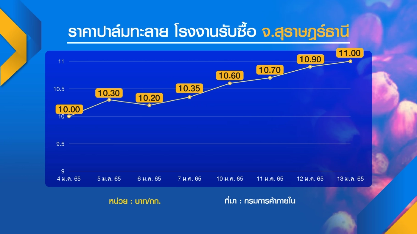 น้ำมันปาล์มราคาพุ่ง! จี้รัฐเร่งตรึง
